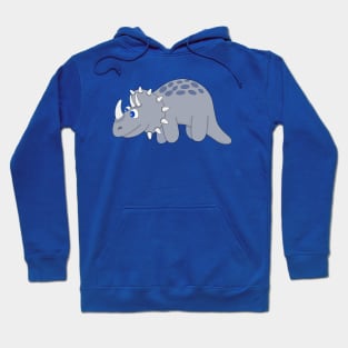 A Wonderful Dinosaur Hoodie